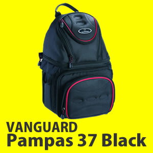 Wȥ꡼ѤǺ7ܡۡХ󥬡(VANGUARD) Pampas 37 ֥å PAMPAS꡼ 󥰥Хå