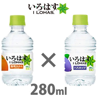 【在庫あり】【送料無料】 [コカコーラ] いろはす 温州みかん 280ml×24本 「北海道限定」 いろはす ハスカップ 280ml×24本 飲みきりサイズ【合計48本入】