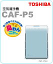 【ペットのニオイをとことん脱臭♪】東芝(TOSHIBA)空気清浄機CAF-P5