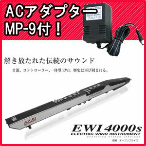 AKAI(アカイ)ウインドシンセサイザー EWI4000s(EWI-4000s)【送料無料】