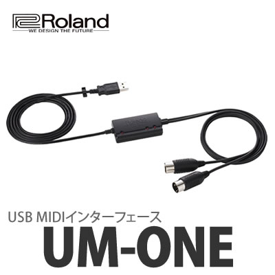 Roland ローランドUSB MIDI インターフェース UM-ONE 【4957054500177】