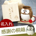 長寿祝い 名入れ 湯のみ ギフト プレゼント 贈り物 名前入り 【 感謝の桐箱入り ふくろう 湯呑み 単品 】 茶道具・湯呑・急須 湯呑 小物 祖父 祖母 父 母 誕生日 オリジナル 和食器 湯飲み 還暦 米寿 喜寿 長寿 古希 傘寿 フクロウ グッズ 縁起 【楽ギフ_名入れ】 親ギフト