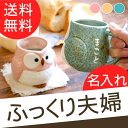 名入れ プレゼント ギフト 贈り物 名前入り プレゼント 【 パステル ふくろう マグカップ ペア 】 洋食器 マグカップ ナチュラル 祖父 祖母 母 陶器 和食器 還暦 米寿 喜寿 古希 傘寿 女性 梟 フクロウ グッズ 長寿祝い 【楽ギフ_名入れ】 誕生日 おすすめ ギフト