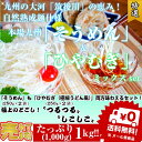 本場九州からお届け お試しセット九州熟成そうめん250g(2袋 4人前) 九州熟成ひやむぎ250g(2袋 4人前) 長時間の自然熟成麺なので ノド越し良くツルツル 細ざるうどん風にも 温かいにゅうめんも 保存食 ギフト 御中元 内祝