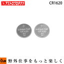 アストロプロダクツ astroproducts AP ボタン電池 CR1620 2個入り