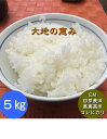 【送料無料】無農薬 白米 玄米 5分づき精米「大地の恵み」5kg EM農法 無農薬栽培米 安心安