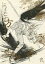 うしおととら -うしとらの方よりまうづ弐- /戸樫季子 /〈女性向同人誌〉【中古】afb
