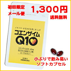 【お試し】コエンザイムQ10 60粒入（初回限定）アルミパック【送料無料】メール便発送細胞レベルで”若さ”をサポート !