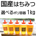 国産はちみつ(純粋) 1kg ポリ容器入り-はちみつ