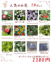 送料無料!【当店農場生産】人気のお花(宿根草)10鉢+ガーデニングの土15L+肥料のお試しセット☆