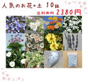 送料無料!【当店農場生産】人気のお花(宿根草)10鉢+ガーデニングの土15L+肥料のお試しセット☆