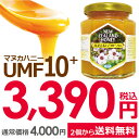\エントリーで店内全品P3倍/マヌカハニー 10+ 250g (MGO 263〜513相当) はちみつ|