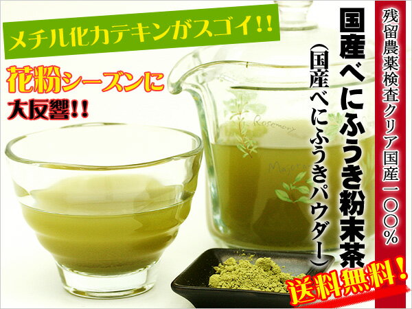 ●【純国産100％の美容健康茶】国産べにふうき（紅冨貴）　粉末 茶　50g【低カフェイン】【メール便送料無料】【残留農薬検査クリア】