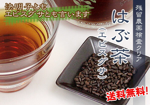 ■【お徳用】【残留農薬検査クリアの健康茶】はぶ茶　（1kg）　【送料無料】【ノンカフェイン・ノンカロリー】