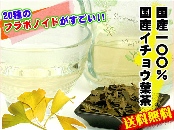 ●【お試し】【純国産100％の美容健康茶】国産イチョウ葉茶　10g【ノンカフェイン・ノンカロリー】【メール便送料無料】