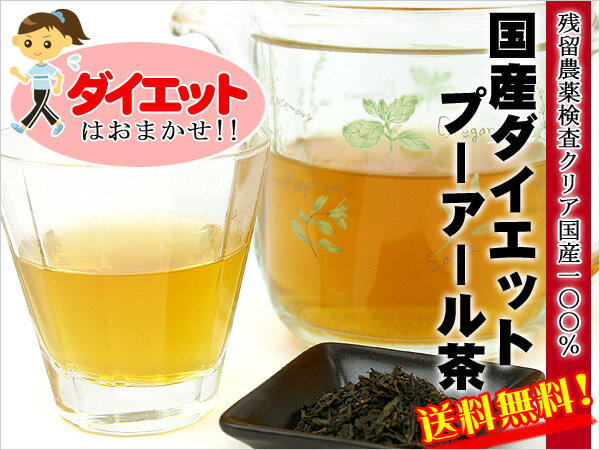 ●メール便送料無料 ! 国産ダイエットプーアール茶 ティーバッグ （5g×20p） ★ 美容 健康 ダイエット を プーアール茶 でサポート♪ ノンカロリー プーアル茶 国産 健康茶 お茶【残留農薬検査クリア】