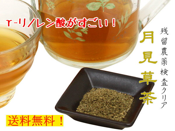 ■【お徳用】【残留農薬検査クリアの美容健康茶】月見草茶（5g×48P）　【送料無料】
