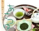 ●【日本茶・煎茶】希少品種の深むし煎茶　あさつゆ（100g）　【メール便送料無料】