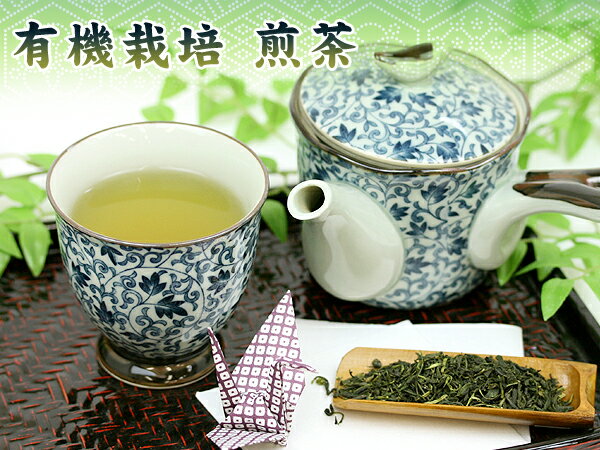 ●【日本茶・煎茶】有機栽培　煎茶（100g）　【マラソン1207P10】【メール便送料無料】