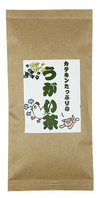 ● カテキンを含むうがい茶 （100g）＜ 日本茶 煎茶 うがい用緑茶 ＞[追跡対応メール…...:honjien-3:10000121