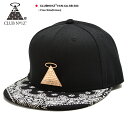 b系 ヒップホップ ストリート系 ファッション メンズ レディース キャップ 【CN-CA-SB-023】 クラブノイズ CLUB NO1Z CAP 帽子 黒 スナップバック 定番 ブランド 金プレート ペイズリー柄 スケート アメカジ Fサイズ 男女兼用 正規品 02P03Dec16【楽ギフ_包装】