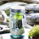 世界で一つだけのオリジナルグリーンギフト!”URBAN GREEN MAKERS”VINTAGE GLASS JAR TERRARIUM KIT(#03)