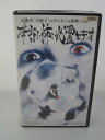 H5 05971【中古・VHSビデオ】「本当に怖い心霊ビデオ」製作:平田樹彦「富江」水先案内人:宗優子(霊能者/花丸剣二郎(除霊師)