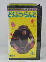 H5 07236【中古・VHSビデオ】「みんなでたのしく どうぶつ・らんど 4」出演:ゴリラ ,チンパンジー ,オラウータン ,ニホンザルなど