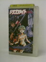 H5 09493【中古・VHSビデオ】「ドラゴンナイト」監督:豊岡薫 CAST:真殿光昭/栗原みきこ 他。
