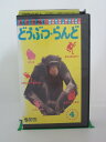 H5 25208【中古・VHSビデオ】「どうぶつ・らんど4」