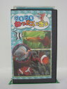 H5 27088【中古・VHSビデオ】「すいすいねったいぎょ」主な熱帯魚:エンゼルフィッシュ/グッピー/ネオンテトラ