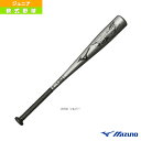 プロフェッショナル/高山型/66cm/平均390g/少年軟式金属製バット(1CJMY13666)『軟式野球 バット ミズノ』