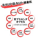 【メール便送料無料】男性用 サプリメント 男 プラセンタ カプセル (30粒入)×3袋 男 メンズ 男シリーズ モテる サプリ