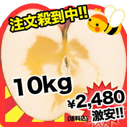 りんご　訳あり　10kg　サンふじりんご　山形県産りんご　リンゴりんご　訳あり　10kg　サンふじりんご　半額りんご　リンゴ
