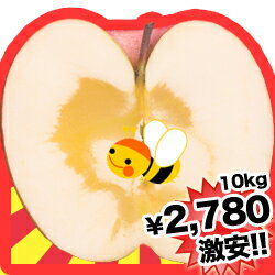 りんご　訳あり　10kg　送料無料　サンふじりんご　山形県産　りんご　リンゴりんご　訳あり　10kg　送料無料　サンふじりんご　半額りんご　リンゴ