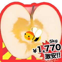 りんご　5kg　送料無料●サンふじりんご約5kg訳ありサンふじ約5kgが半額！しゃきっ あま〜い山形県産サンふじ