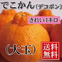 デコポン 贈答用 【送料無料】大玉4kg...