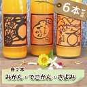 愛媛県産 島みかんジュース 3種類セット