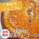 冷蔵発送【送料無料】【ノーワックス・防腐剤不使用】愛媛県産【清見タンゴール】【サイズばら2.5キロ】【ご家庭用(ワケアリ)】