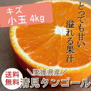 冷蔵発送【送料無料】【ノーワックス・防腐剤不使用】愛媛県産【清見タンゴール】【小玉4キロ】【キズ(訳あり)】オレンジ みかん 国産