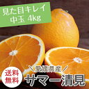 冷蔵発送【送料無料】愛媛県大三島産【サマー清見】かがやき・輝き【中玉4キロ】【き