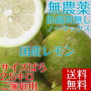 【愛媛県大三島産】送料無料 無農薬レモン【サイズバラ2.5キロ】国産レモン ホリ田ヤ