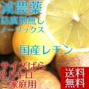 ポイント5倍【愛媛県大三島産】冷蔵発送 国産レモン【サイズば...
