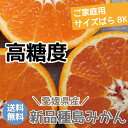 冷蔵発送【送料無料】愛媛県産【美海子(みみこ)】【