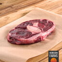 ヨーロピアンビーフ オーストリア産 高品質 牛肉 牛スネ カット 700g ホルモン剤不使用 抗生物質不使用 遺伝子組換え飼料不使用 牧草牛 牛すね グラスフェッド ビーフ 煮込み用 カレー用