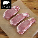 北海道十勝 放牧豚 ロース ステーキ 500g 高品質 北海道産