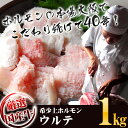 BBQ シーズンで注文殺到 卸店の希少国産牛上 ホルモン ウルテ 100g×10パック 計 1kg もつ鍋 もつ 業務用 あす楽対応 バーベキューセット バーベキュー 肉 セット bbq 焼き肉 焼肉 珍味 おつまみ