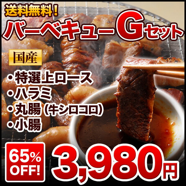 国産牛ホルモン専門卸店の 特選国産牛バーベキューGセット　たっぷり1kg【当店特製調味料3点セット付き】【sm15-17】【ky送料無料】【バーベキュー BBQ】【smtb-k】【w1】【YDKG-k】【1101_soh_nishi1】B級グルメ