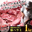 新鮮国産豚上ハラミ たっぷり500g×2パック 計1kg 味付けなし タレセット付き(バーベキュー BBQ)業務用【あす楽対応】