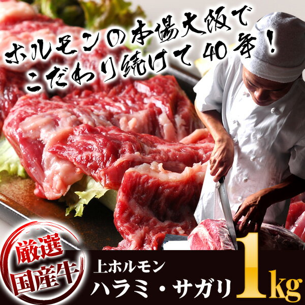 BBQシーズンで注文殺到！厳選国産牛希少上ホルモン　上ハラミ・サガリ　500g×2　計1kg　味付けなし sm15-17業務用